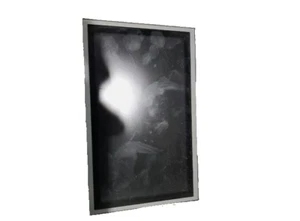 Display Screen 2006 Fx45 - Picture 1 of 2