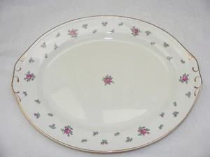 Vintage Homer Laughlin Egg Shell Georgian 13" Platter Rambler Rose - Picture 1 of 7