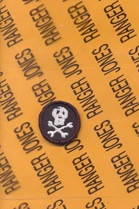 US Army Armor Tank "RAIDER" Dot Korea AIB AFA Cav tab patch - Picture 1 of 1