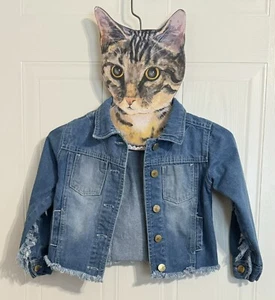 Girls Chillipop Blue Denim Fringe Jacket 5/6 - Picture 1 of 12
