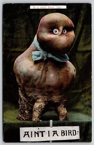 Postcard "In a dead Beet - but - Ain't I A Bird?" P103 - Picture 1 of 2
