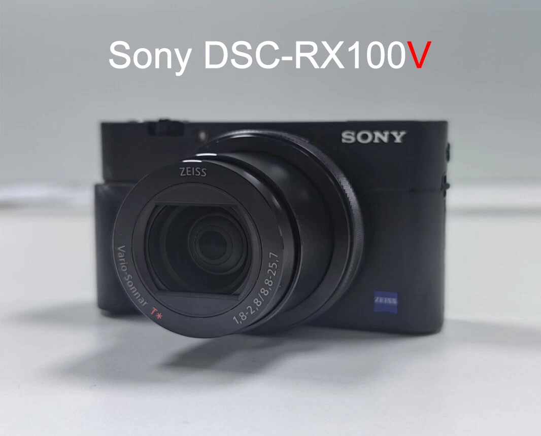 Sony Cyber-shot DSC-RX100 V Digital Cameras for Sale - Shop New