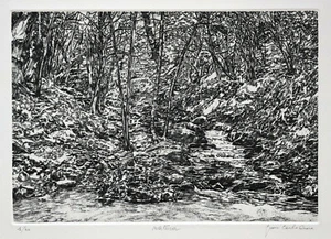  Giancarlo AIOSA "Natura" , 1999 Ceramolle e acquaforte originale su zinco  - Picture 1 of 2