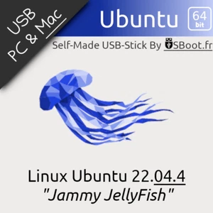CLÉ USB LINUX UBUNTU 22.04.4 JAMMY-JELLYFISH CLEF BOOTABLE DRIVE LIVE & INSTALL - Photo 1/14