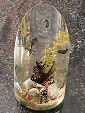 Vintage Seahorse Acrylic Lucite Paperweight Coral, Seashell, Seaweed CANADA