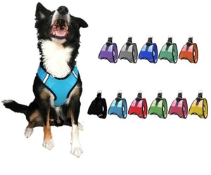 Nylon Mesh Easy Step-In Quick-Release Padded Soft Puppy Pet Dog Harness - Picture 1 of 14