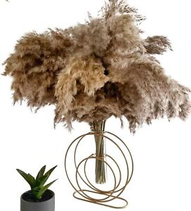 Pampas Grass 20-Piece Natural Dried Flowers for Vase, Feather Bouquet Home Decor