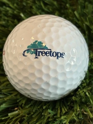 Treetops Golf Resort Logo Golf Ball- Gaylord Michigan MI - Image 1 of 2