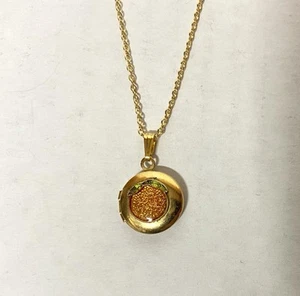 GOLD PLATED ROUND PICTURE LOCKET PENDANT & 16" CHAIN NECKLACE- Orange fruit - Picture 1 of 5