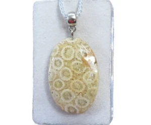 Petoskey Stein Fossil Coral Cabochon Anhänger mit Ringschlaufe Nr. 3577 - Bild 1 von 2
