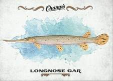 Longnose Gar #F-1 - 2015-16 Champs - Fish