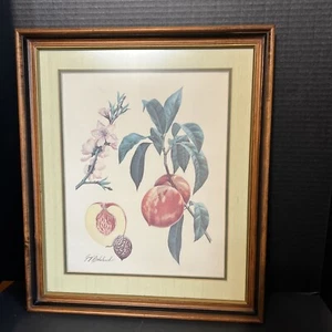 Vtg. Double Matted &Framed  Guy Coheleavh Garden Peaches Print plate sign - Picture 1 of 6