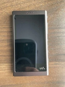 Reproductor de música digital de alta resolución Sony Walkman Nw-A50 32 GB audio portátil Bluetooth - Imagen 1 de 7