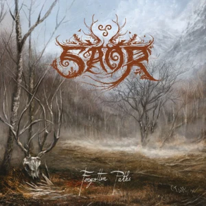 SAOR-FORGOTTEN PATHS*SIGNED*POSTER*ENSLAVED,KAWIR,UADA,FUATH,SATYRICON,MGLA,YGG - Picture 1 of 5