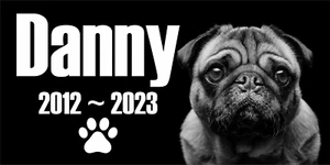 Grave marker Pet Stone Memorial Granite Plaque headstone dog PUG - Picture 1 of 24