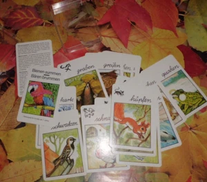 RDA + abejas zumbando osos zumbando + juego de cartas + cuarteto + material didáctico Pössneck - Imagen 1 de 1