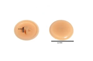 Schrauben Abdeckung Kappe für Pozi Schraube Buche #6 & #8 Menge Packung 5000 - Picture 1 of 1