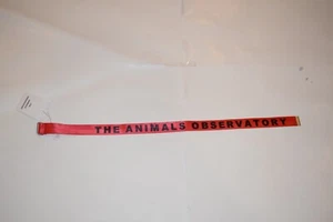 The Animals Observatory NWT Red Lizard Kids Belt Thumbnail Size M - Picture 1 of 4