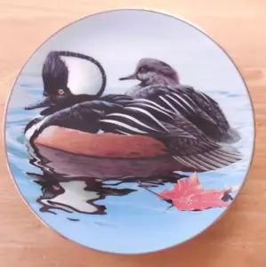 American Waterbirds ~9" placa de coleccionista - Mergansers con capucha (1988) Rod Lawrence - Imagen 1 de 5