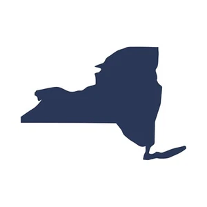 New York state Outline Vinyl Decal Car Window Laptop NY Sticker - Picture 1 of 7