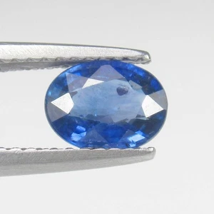 1.11 Ct Natural Ceylon Mine Royal Blue Sapphire Excellent Oval Cut,SriLanka-1369 - Picture 1 of 2