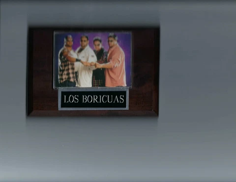 LOS BORICUAS PLAQUE WRESTLING WWF SAVIO  C Cover