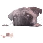 Funny Cute Pet Pug Dog Snail 3D Car Window Decals Home Wall Sticker8334