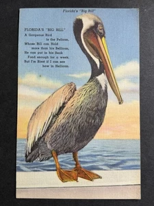 Vintage Florida Big Bill Pelican Linen Postcard Curteich 1930s - Picture 1 of 2