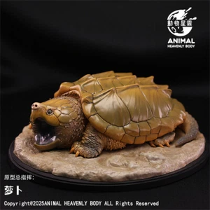 ANIMAL HEAVENLY BODY Alligator Snapping Turtle Figure Animal Model Gift Toys - Imagen 1 de 5