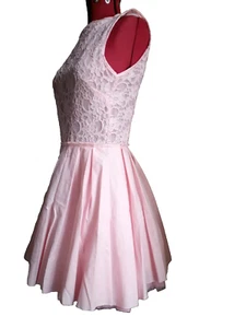 jones+jones size 10 fit and flare pink dress tutu skirt lace bodice party prom - Picture 1 of 6