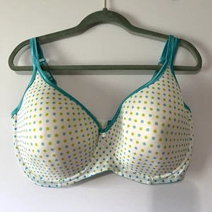 Q-T Intimates Polka Dot Underwire Bra for Fuller Figures Size 44DD Rockabilly - Picture 1 of 9