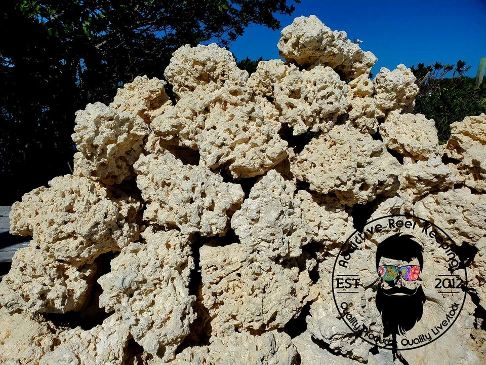 ADDICTIVE REEF KEEPING 100 lbs Extra Large Dry Reef Rock Aragonite Base, Porous Aquariums Live