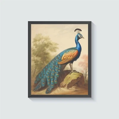 Pôster arte vintage pássaro pavão pintura arte parede - Imagem 1 de 4