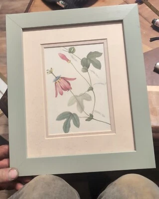 PJ Redoute Granadilla A Grappes Estampado Flor de la Pasión Ariel Prensa Arte Botánico Foto 1 de 4