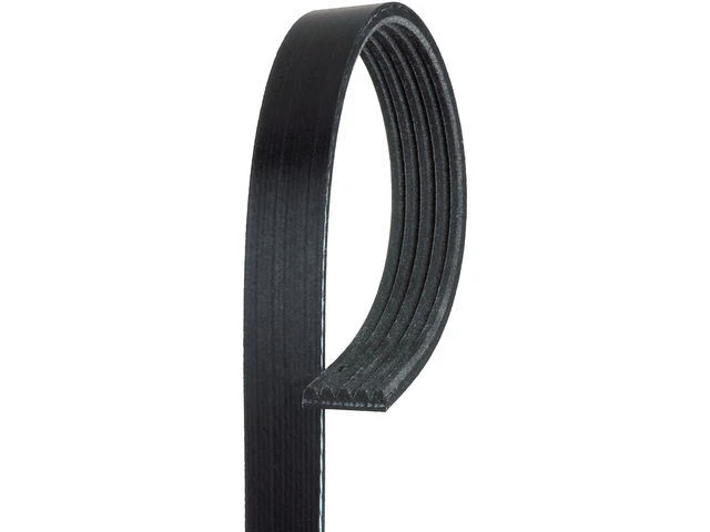 AC Delco Gold Multi Rib Belt fits Pontiac G6 2006-2010 38THSZ - Imagem 1 de 1