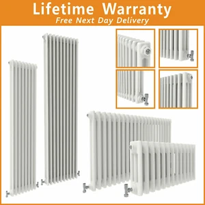 White Radiator Vertical  Horizontal Traditional 2 3 Column Cast Iron Style Rads - Picture 1 of 95