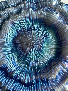 Akam Blue Iridescent Glass Plate Ruffled Edges 8” From Turkey - Picture 1 of 9