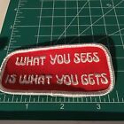 What you sees is What you gets Sayings Patch 2436