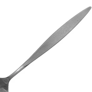 Oneidacraft Deluxe Wintersong  Your Choice Classic Flatware stainless flatware - Picture 1 of 9