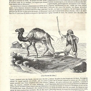 Les laboureurs du Liban - - Article de presse 1840 - Picture 1 of 2