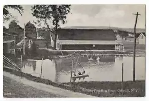COBLESKILL NY FAIRVIEW PARK BOAT HOUSE VINTAGE POSTCARD 1914 020221 Q - Picture 1 of 2