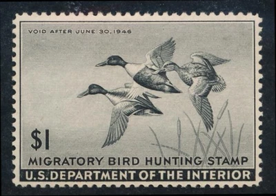 UNITED STATES (US) RW12 MINT VF HINGED 1945 $ SHOVELLER - Image 1 of 2