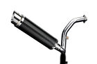 Delkevic Full 1-1 Exhaust Bmw G310r G310gs Dl10 14" Carbon Round Muffler 16-21