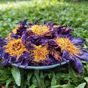 500g Organic Blue Lotus Nymphaea Caerulea Egyptian Flowers Ceylon Herbal Tea - Picture 1 of 7