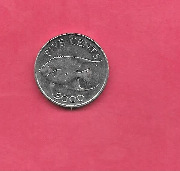 BONITA MONEDA BERMUDA KM108 2000 5 CENTAVOS BU GEMA SIN CIRCULAR Foto 1 de 1
