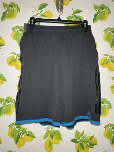 Men’s Gray & Blue Adidas Climachill Shorts with Pockets Sz Med(?) - Picture 1 of 4