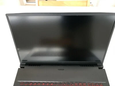 MSI Gaming PC 17poll. 32Gb RAM/Sc. video 6 Gb/ Schermo IPS 144 Hz FHD Anti Glare - Immagine 1 di 4
