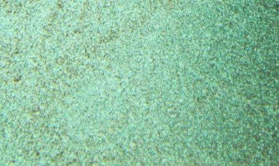 Puñalador trasero Lil' Daddy Roth Pearl Factory Foto 1 de 3