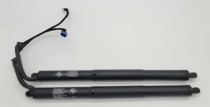 14-18 BMW X5 X5M F15 F85 Trunk Lid Liftgate Shock Support Left Right Set OEM - Picture 1 of 6