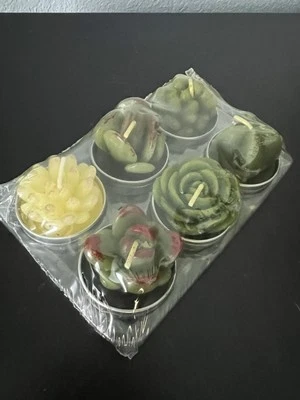 New Cactus Succulents Tea Light Candles for  Decoration 6 Count, Paraffin Wax - Image 1 of 4
